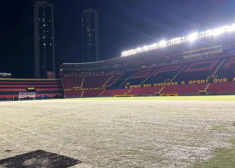 Sport inicia cuidados no gramado da Ilha do Retiro visando 2025