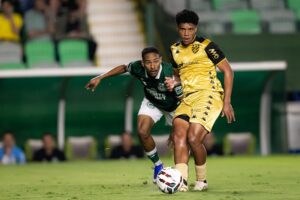 Sport fica no empate contra o Goiás na Serrinha. Foto: Deividson Isídio e Heber Gomes / Sport Club do Recife.